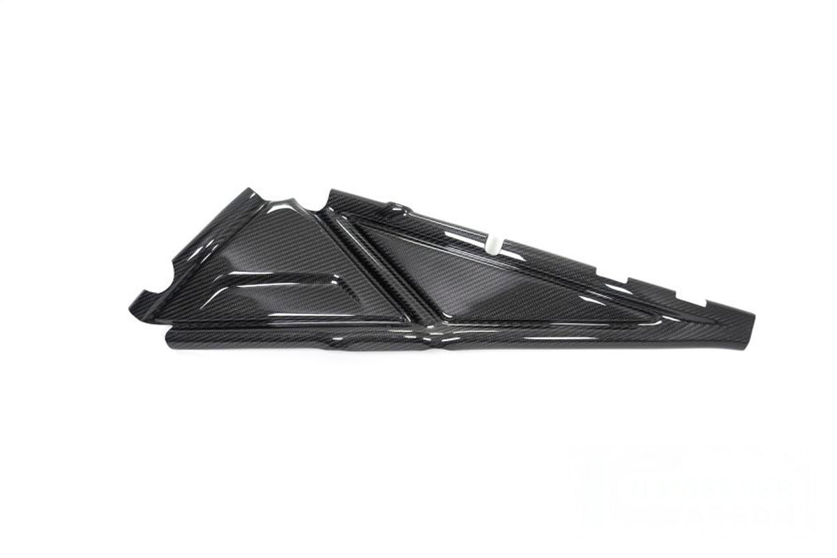Ilmberger - Rear Frame Cover for R 1250 GS