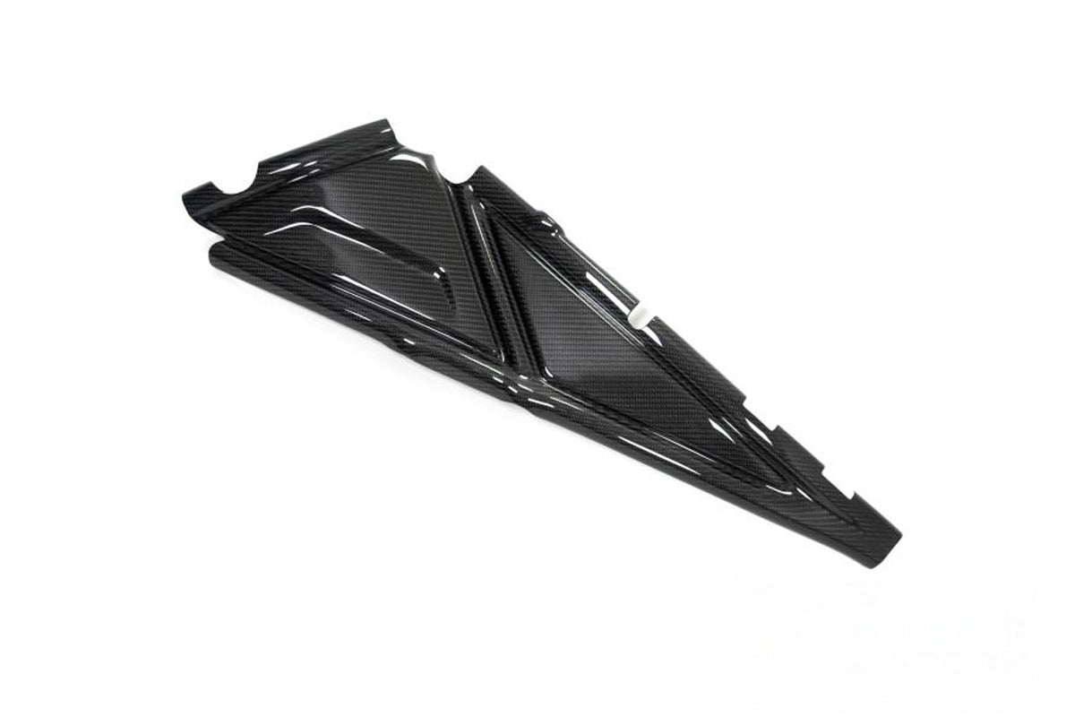 Ilmberger - Rear Frame Cover for R 1250 GS