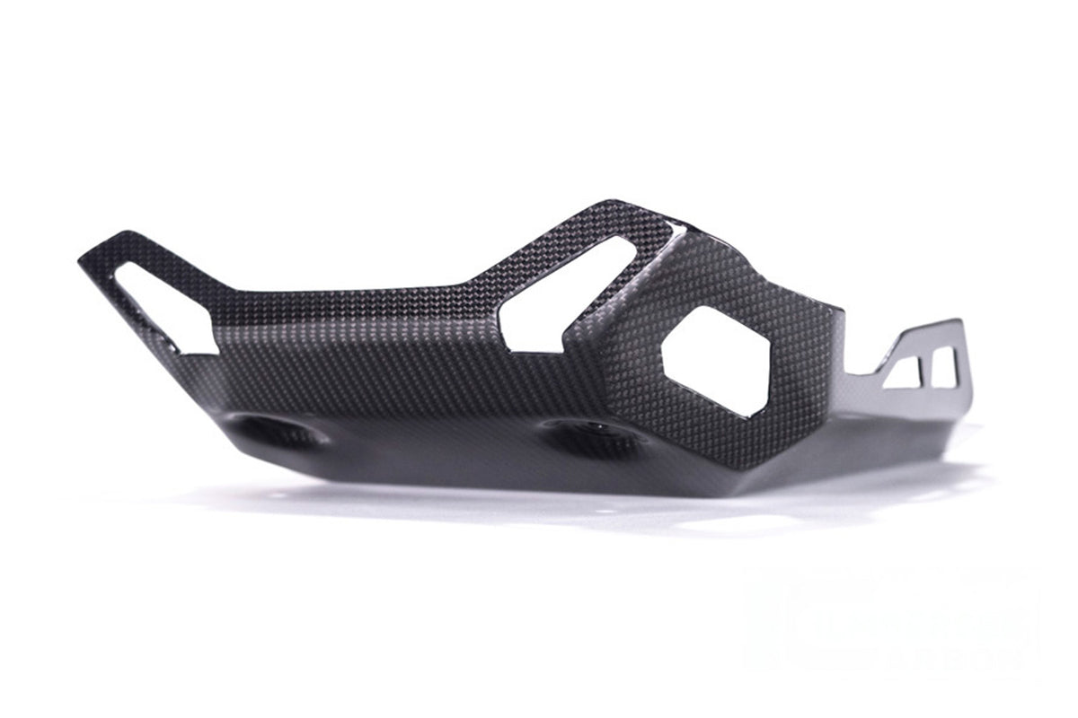 Ilmberger - Engine Protector for R 1250 GS