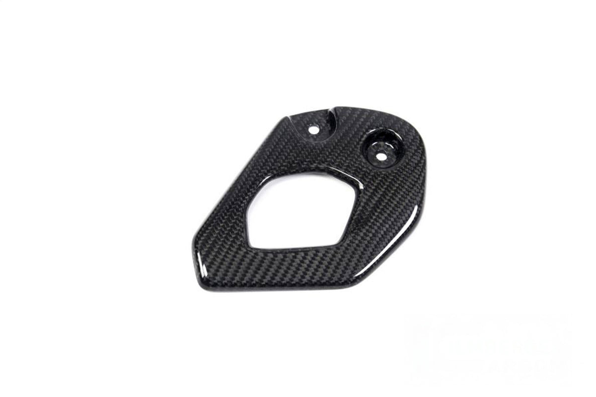 Ilmberger - Heel Guard for R 1250 GS