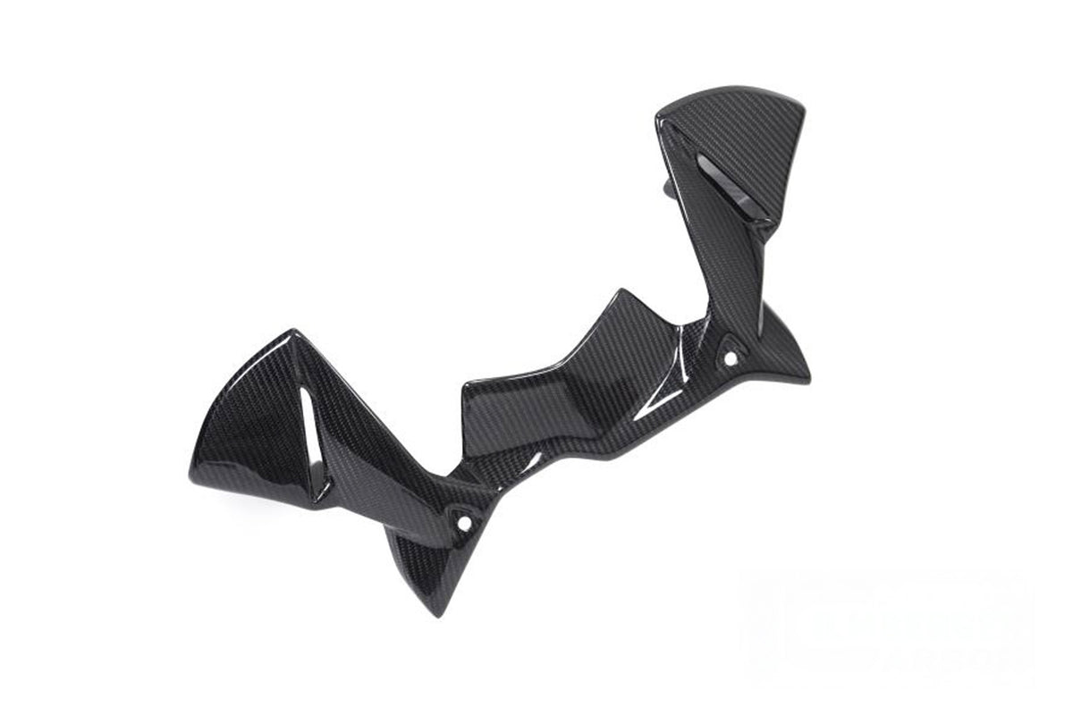 Ilmberger - Windprotector Instruments for R 1250 GS