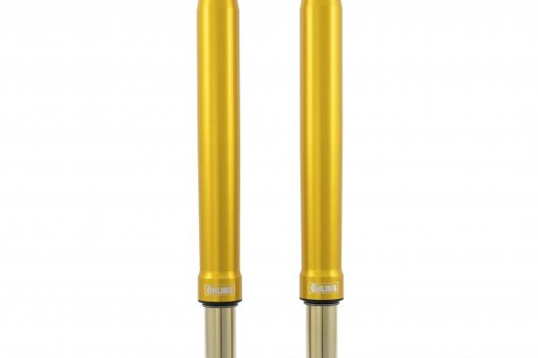 ÖHLINS -  Hypersport Superbike Fork (FGR 250)