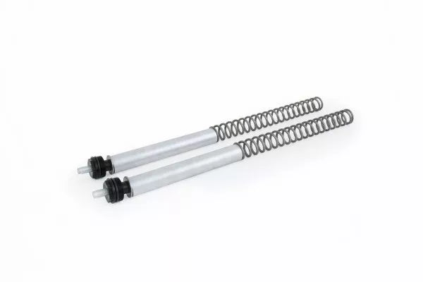 ÖHLINS -  Street Fork Spring Kit (FSK 119)