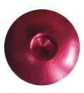 Keiti-Windscreen Fastener-SSK161K