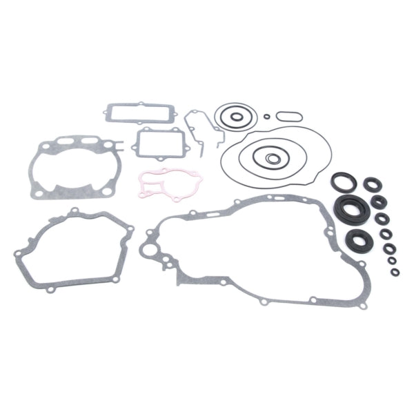 VertexWinderosa - Complete Gasket Set with Oil Seals - 811 (811670)