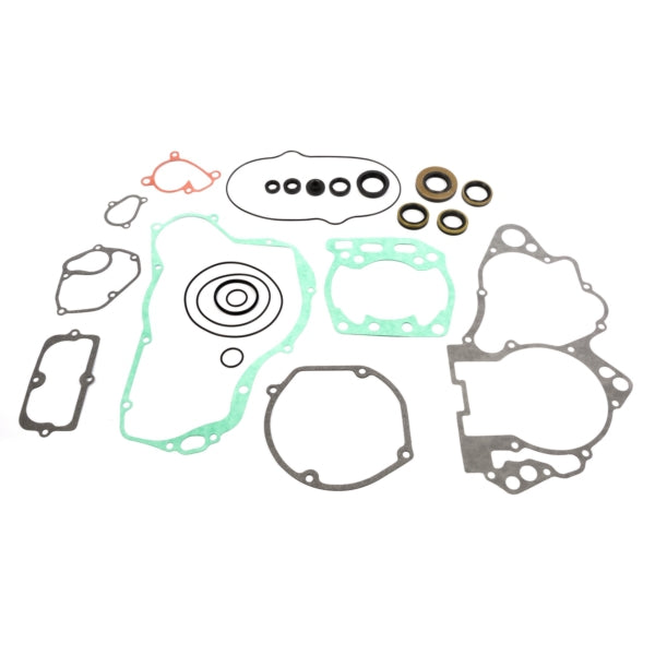 VertexWinderosa - Complete Gasket Set with Oil Seals - 811 (811589)