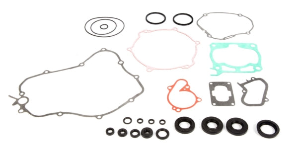 VertexWinderosa - Complete Gasket Set with Oil Seals - 811 (811641)