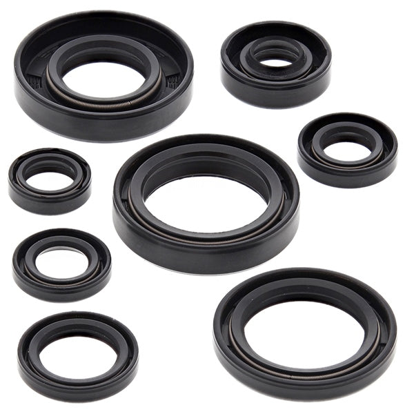 VertexWinderosa - Oil Seal Sets (822173)
