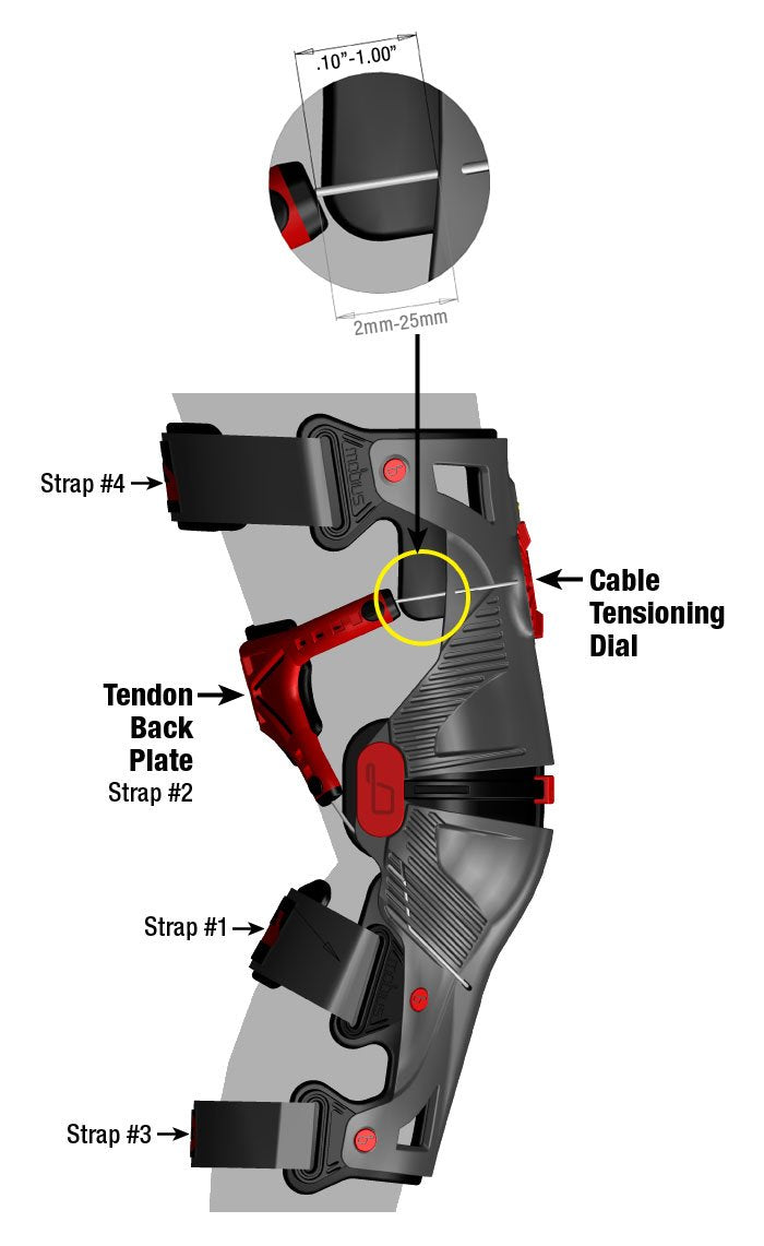 MOBIUS - X8 Knee Braces (Adult Sizes)